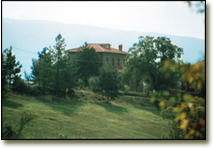 ASSISI